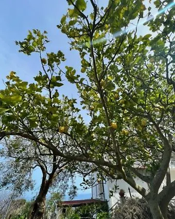 Apartamento La Terrazza *